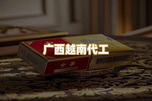 广西越南代工
